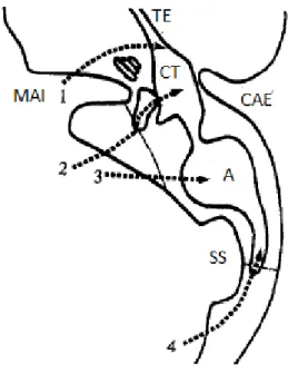 Figure 6. Schéma des voies d’écoulement potentielles des RCS au niveau d’un rocher gauche  en coupe axiale, à l’étage du MAI, selon Nutik et Korol (17)