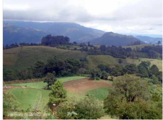 Fig. 8. Area productora de vegetales, Altiplano de Celaque, Belen Gualcho, Honduras.