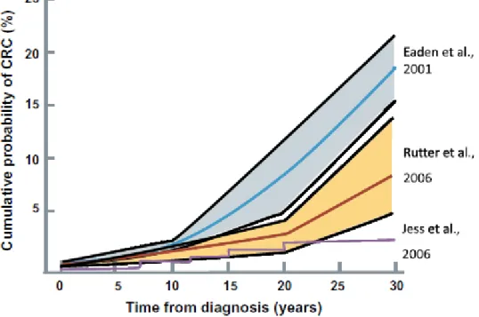 Figure 1 : Risque cumulatif pour un patient atteint de RCH de développer un cancer colo rectal  au  fil du temps, en fonction de différentes méta analyses  (7)