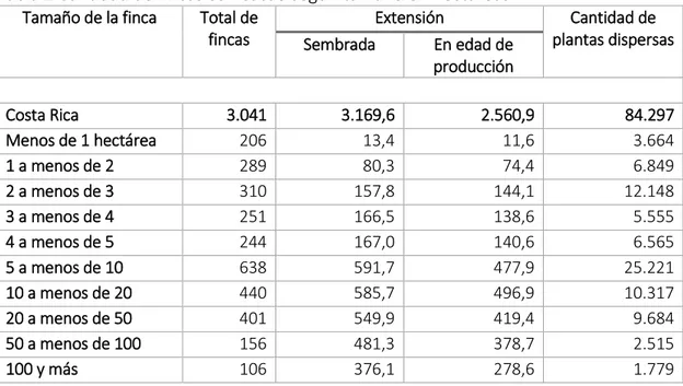 Tabla 1 Cantidad de fincas con cacao según tamaño en hectáreas  Tamaño de la finca  Total de 