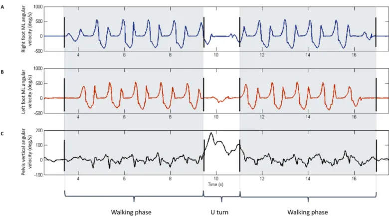Fig 1. Representative data and manual phase annotation result for one healthy participant performing a 10 meters go and 10 meters back walking exercise at self-selected walking speed