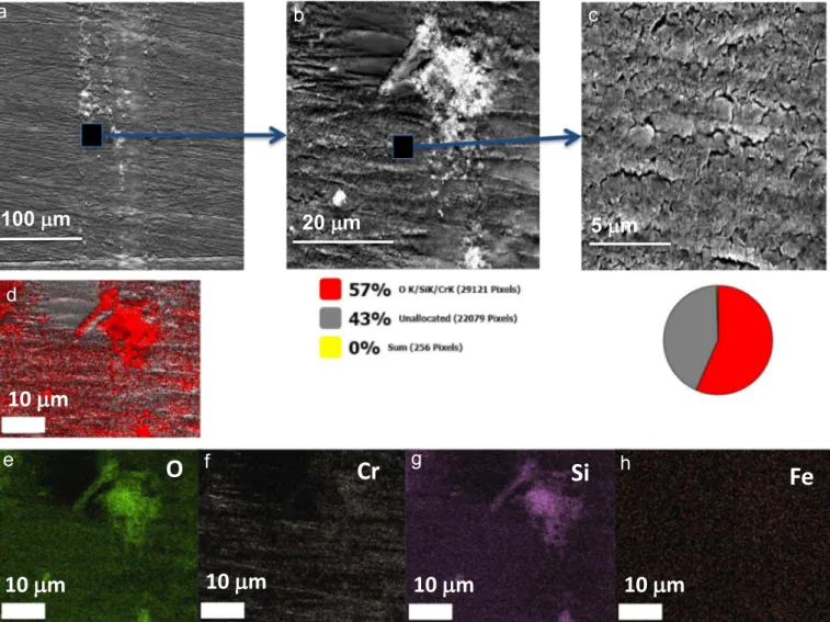 Fig. 11. (a) Secondary electron image of the wear track corresponding to the test carried out at 450 °C; (b) Detail view of the wear track corresponding to the small rectangle indicated in Fig