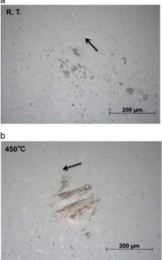 Fig. 12. Optical micrographs of the alumina counterpart after the wear tests carried out at: (a) 25 °C and (b) 450 °C