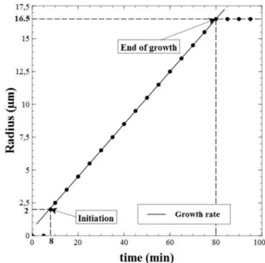 Fig. 4. Spherulite radius vs time during crystallization at 270  C from the melting state.