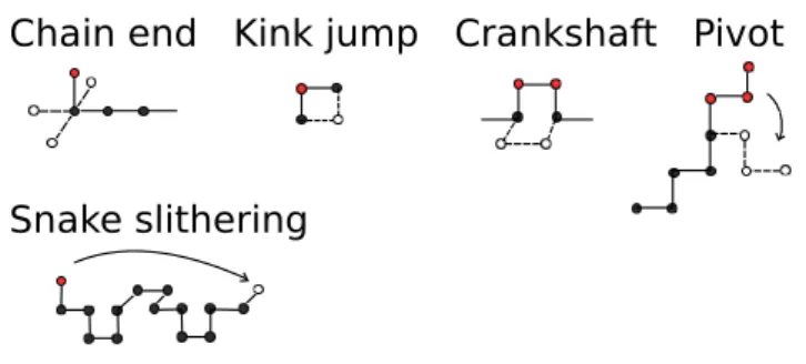 Figure 2: Dynamic motions of the polymer chains.