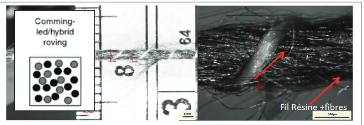 Figure 1 : Commingled yarn morphology 
