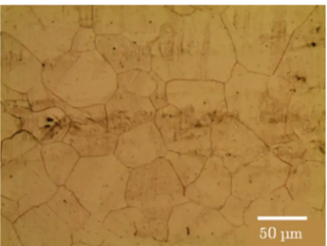 Fig. 1. Microstructure of AISI 301LN steel.