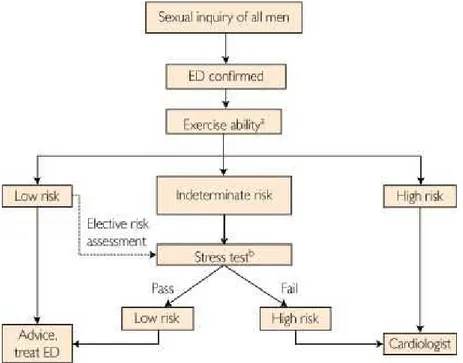 Figure 4     : Parcours des hommes souffrant de dysfonction érectile selon le consensus de Princeton III