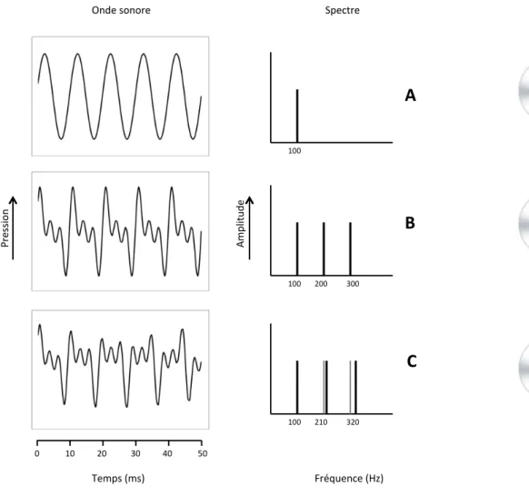 Figure 2. Représentation de l’onde sonore (partie gauche de la figure) et du spectre (partie droite) de trois  sons  A,  B  et  C