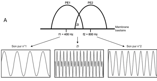 Figure  5.  Représentation  d’un  mécanisme  possible  du  phénomène  de  battements  de  consonance  imparfaite