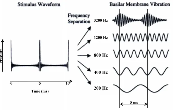 Figure  7.  L’onde  sonore  d’un  son  complexe  harmonique  de  f0  égale  à  200  Hz  est  représentée  dans  la  partie  gauche  de  la  figure