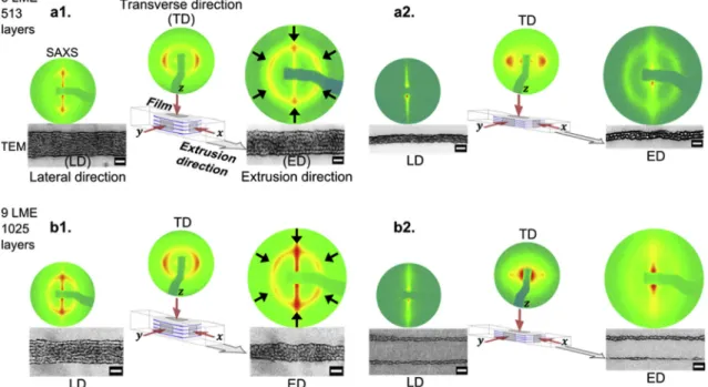 Fig. 5a1 shows typical anisotropic patterns in the x, y, and z di- di-rections. The concentrated intensities at the equatorial and at the pole for the TD (transverse direction) and the LD (lateral direction) patterns, respectively, show that linear objects