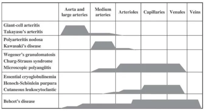 Tableau II: Classification des artérites 