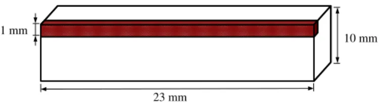 Fig. 4. Microtomography samples. A ﬁrst square-based prism is cut for a ﬁrst tomography analysis