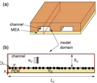 Fig. 1. Simplified geometry of a fuel cell operating in stoichiometric regime  (GDL neglected)
