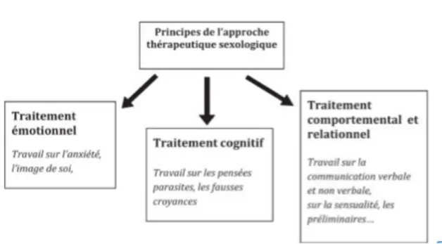 Figure 7. Ce qu’il faut savoir de la pratique sexologique pour l’exercice quotidien, par l’AFU   (51) 