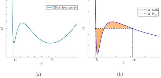 Figure 4: In (a), we show a representation of the dimensionless Gibbs free energy depending on bv with T b = 0.85 and Pb = 0.187, which produces two minima with the same free energy value