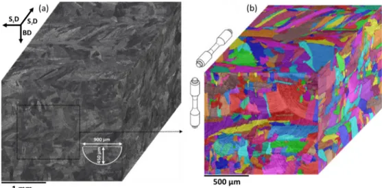 Fig. 3. 3D view of the as-built microstructure (a) optical micrograph; (b) Image quality (IQ) + color grain map.