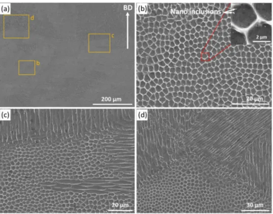 Fig. 4. SEM images illustrating the typical cellular microstructure at (a) low and (b–d) high magniﬁcation corresponding to the yellow areas indicated inFig