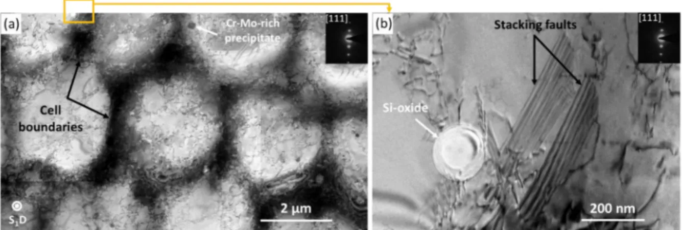 Fig. 6. TEM bright ﬁeld micrographs of the typical microstructure of the as-built 316L: (a) cellular structure with arrays of dislocations pilling up at cell boundaries; (b) evidence of stacking faults and inclusions.