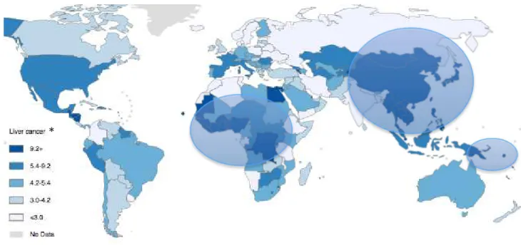 Figure 1 : Incidence estimée du CHC, tous sexes confondus, dans le monde en 2012 