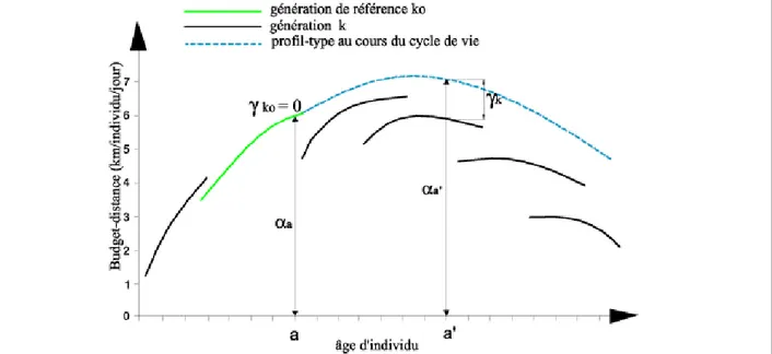 Figure 2 Principe d’estimation d’un modèle âge-cohorte (Gallez, 1994) 