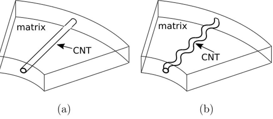 Figure 4: Microscale of the fuzzy fiber composite: (a) straight or (b) wavy carbon nan- nan-otubes in matrix.