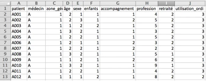 Figure 1. Extrait du recueil des données brutes sur Excel®.  