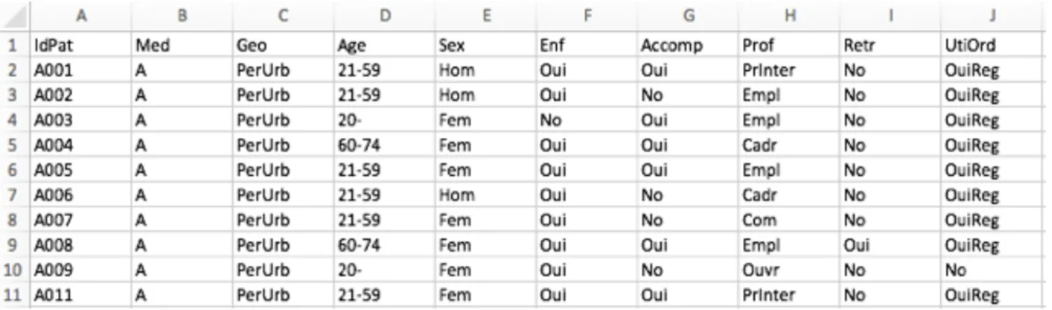 Figure 2. Extrait du recueil des données après traduction en mots-clés sur Excel®. 