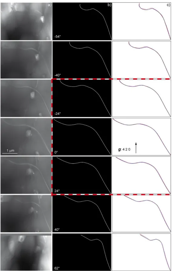 Fig. 2. Reconstruction method for few projected images in garnet. a) Seven projected micrographs (projection angles of  − 54 ◦ ,  − 40 ◦ ,  − 24 ◦ , 0 ◦ , 24 ◦ , 40 ◦ and 62 ◦ )  extracted from the raw aligned tilt series obtained in WBDF conditions with t