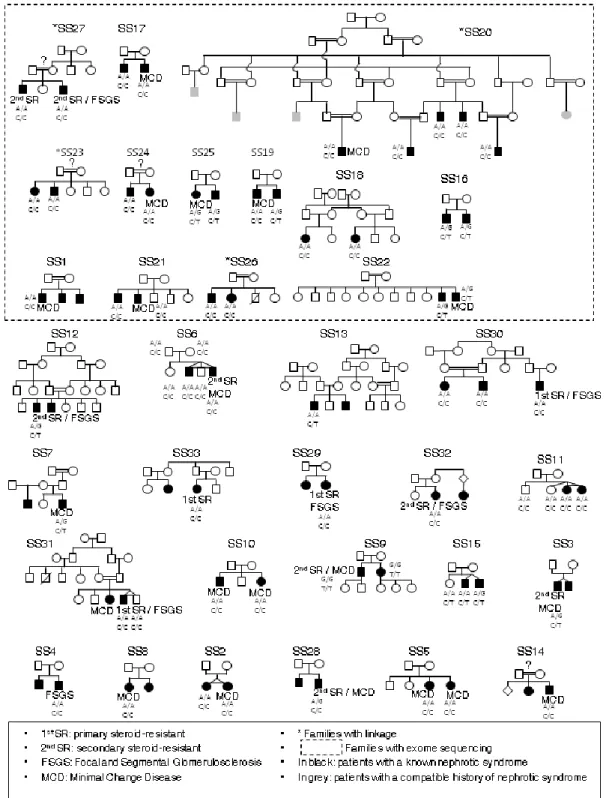 Figure S1A – Arbres généalogiques des 33 familles présentant une transmission autosomique  récessive  Les  familles  testées  par  analyse  de  liaison  sont  notées  *,  et  les  familles  dans  lesquelles un séquençage d’exome a été réalisé apparaissent 
