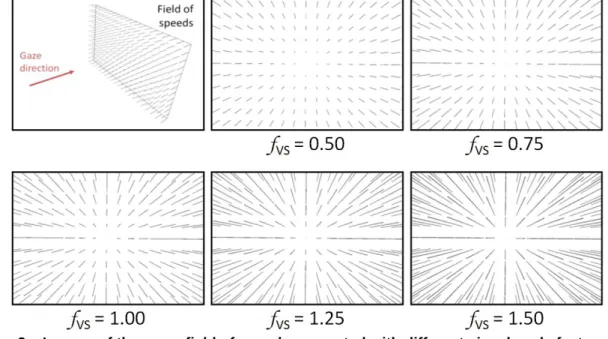Figure 2 – Images of the same field of speeds computed with different visual scale factors
