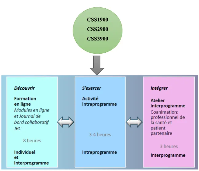 Figure 7: Composition des cours CSS  