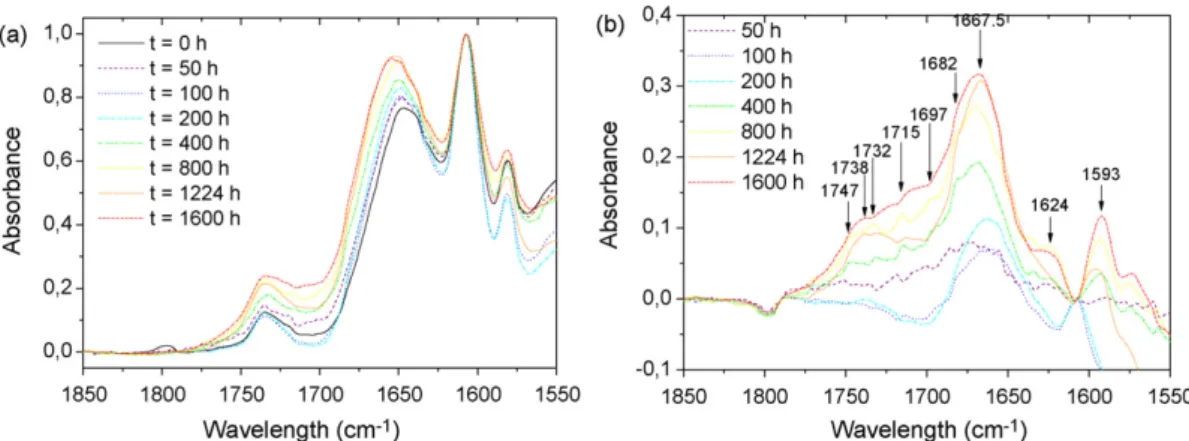 Fig. 2. FTIR spectra of the epoxy system during thermal ageing at 110 ◦ C: (a) direct spectra, normalized at 1606 cm −1 in the 1850 and 1550 cm −1 range and (b) after subtraction of the initial sample spectrum.
