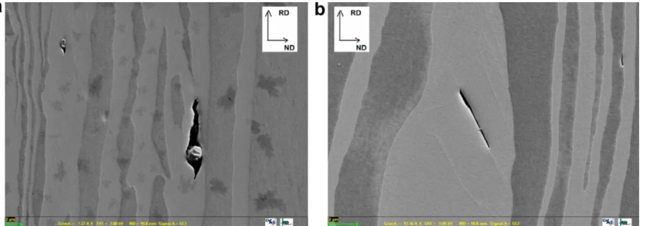 Fig. 6. Damage process caused by inclusions (a) and occurring on slip plane or at grain boundary (b) are shown in SEM pictures (ferritic phase is lighter than austenite one)