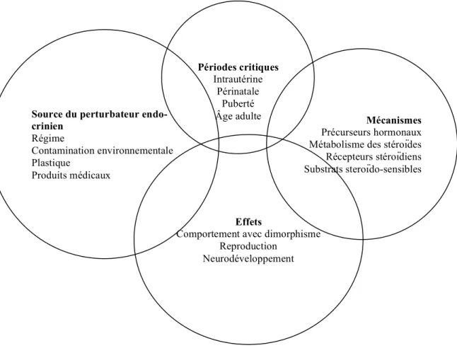 Figure 7. Représentation schématique des différentes sources de perturbateurs endocriniens, de leurs mécanismes et de leurs  actions, durant des périodes critiques.