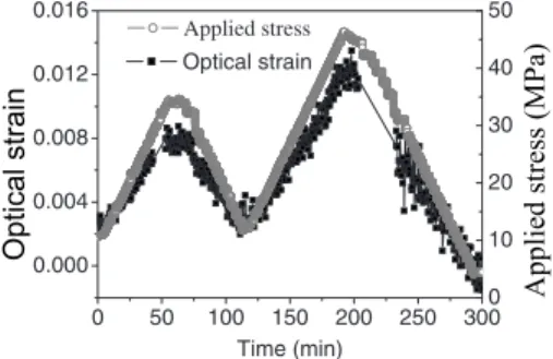 FIG. 4. Macroscopic stress applied to the substrate-film composite and mac- mac-roscopic 共 true 兲 longitudinal strain ␧ 11 as a function of time.