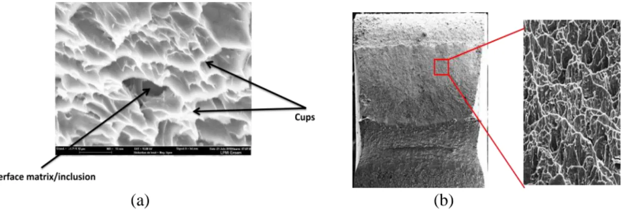 Figure 6: Fracture surface: (a) ductile damage, (b) elongation of voids on the fracture section 
