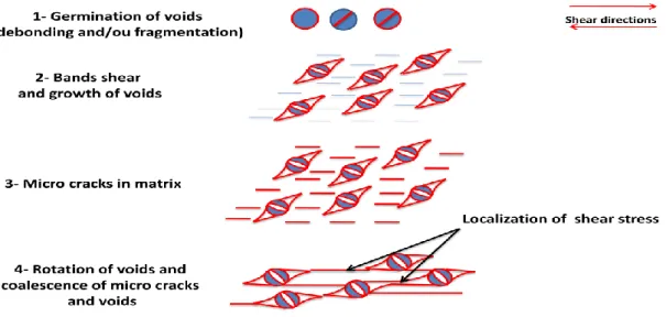 Figure 9: Schematic of the damage process observed in shear 