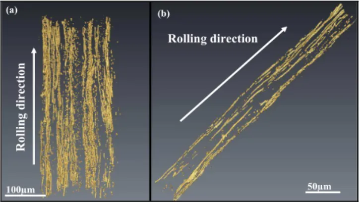 Fig. 4: 3D geometry of MnS inclusion after tomography observation (a) several inclusions, (b) inclusion band isolated