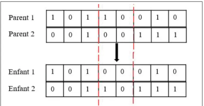 Figure 1.3 Exemple de croisement à deux points