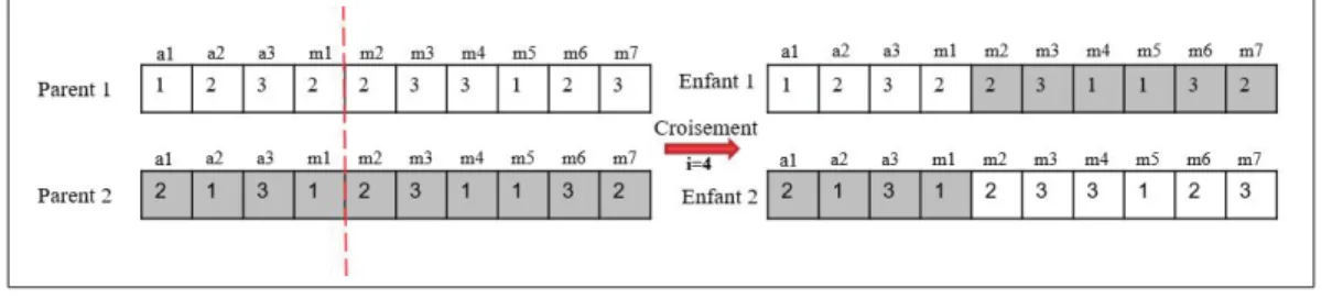 Figure 2.6 Croisement position de croisement choisie au niveau des parents.