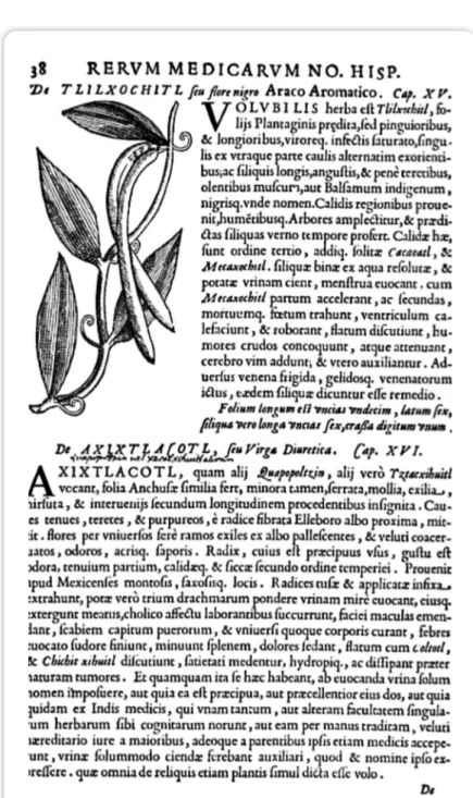 Figure 1. Extrait du Rerum medicarum (Hernandez, 1571)