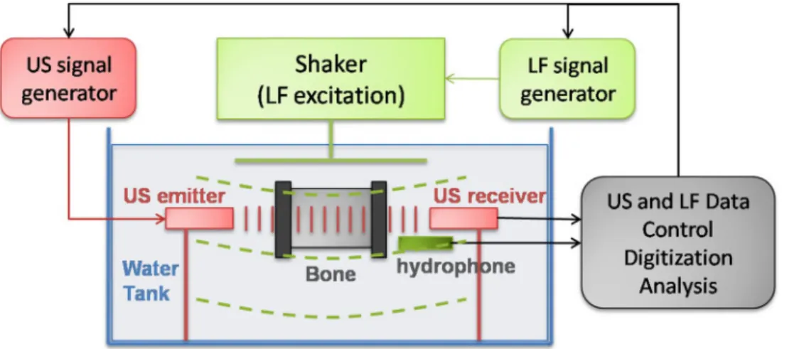 Fig. 1 DAET experimental configuration
