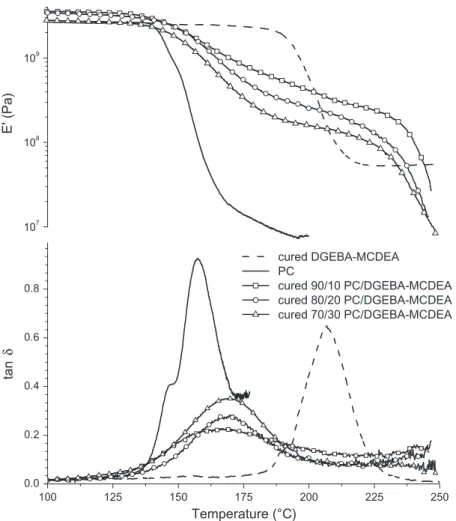 Fig. 10. DMTA of PC, cured DGEBA(n = 0.04)–MCDEA and various blends of PC/DGEBA(n = 0.04)–MCDEA which had been cured at 150 °C for 20 h.