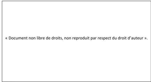 Figure 2 : Traitement de l’information sociale selon le modèle de Crick et Dodge (1994) (19) 