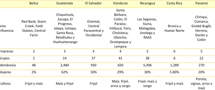 Tabla 11. Ejecución proyecto semillas para el desarrollo en Centroamérica, FAO. 