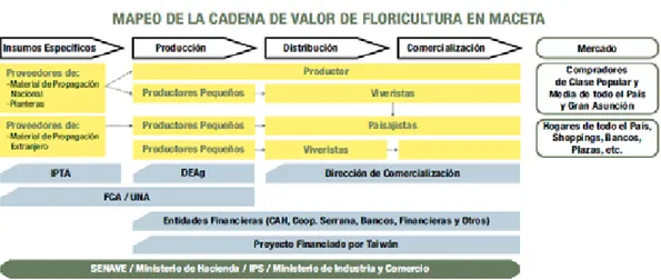 Ilustración 2: mapeo de la cadena de valor de floricultura en maceta