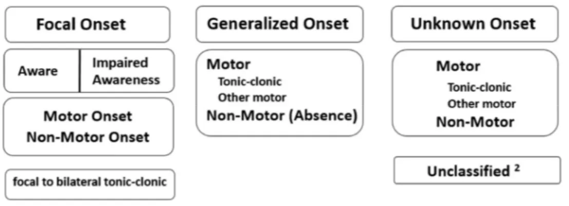 Figure 2 – Classification des crises d’épilepsie selon l’ILAE 2017 