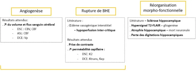 Figure 4 : Corrélation entre mécanismes d’épileptogenèse et imagerie IRM 